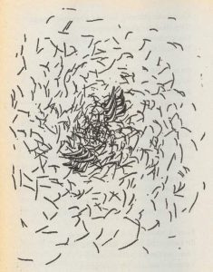 1950 - Max Ernst_08 Vanishing