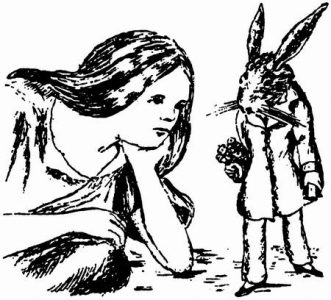 1864 - Lewis Carroll Alice underground_068